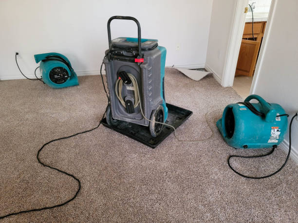 Best Water damage restoration cost  in Fort Stockton, TX