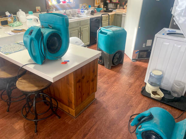Best Water damage restoration near me  in Fort Stockton, TX