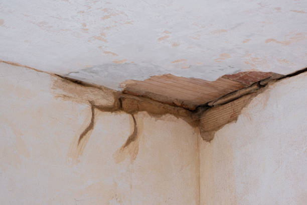 Best 24/7 water damage repair  in Fort Stockton, TX