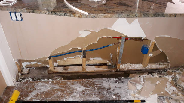 Best 24-hour water damage restoration  in Fort Stockton, TX