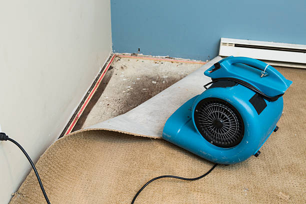 Best Water damage cleanup near me  in Fort Stockton, TX